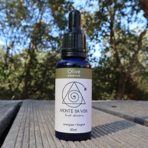 Olive Tree Essence