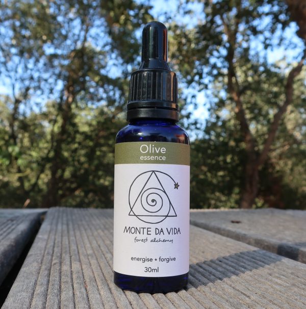 Olive Tree Essence
