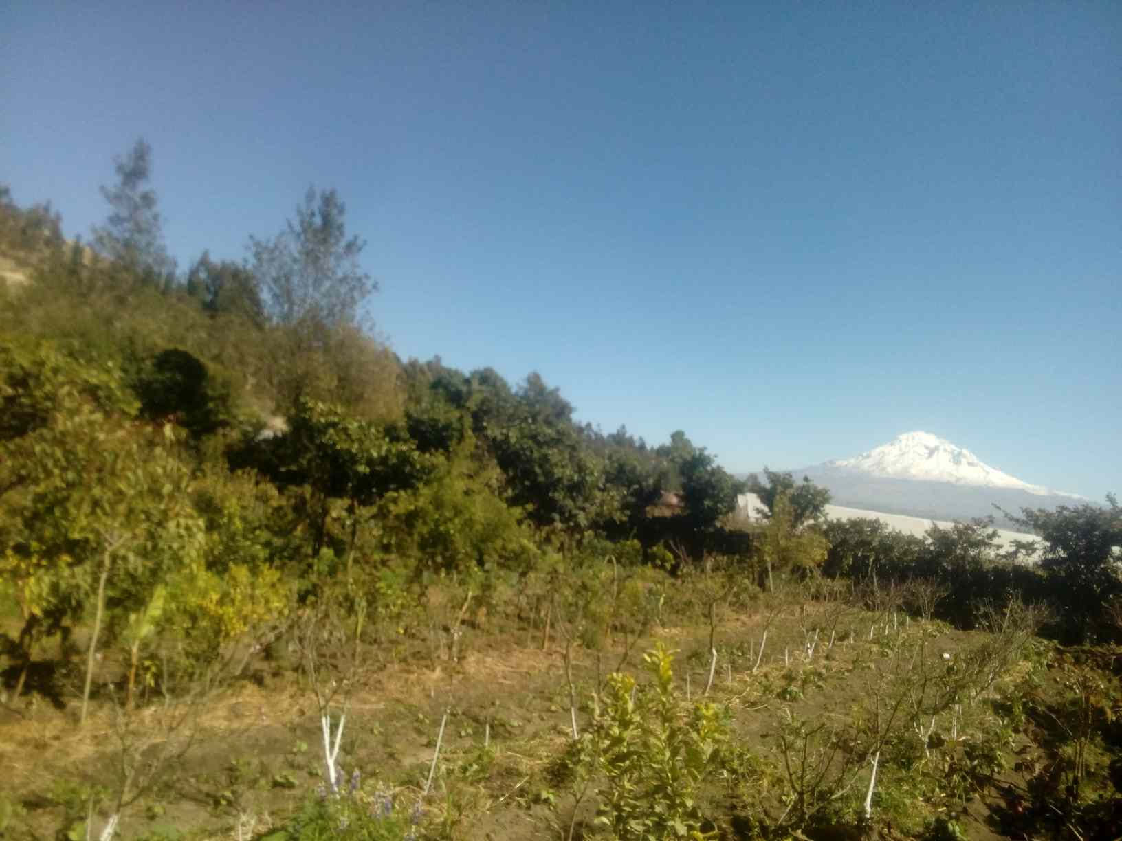 Chimborazo_20210704_small