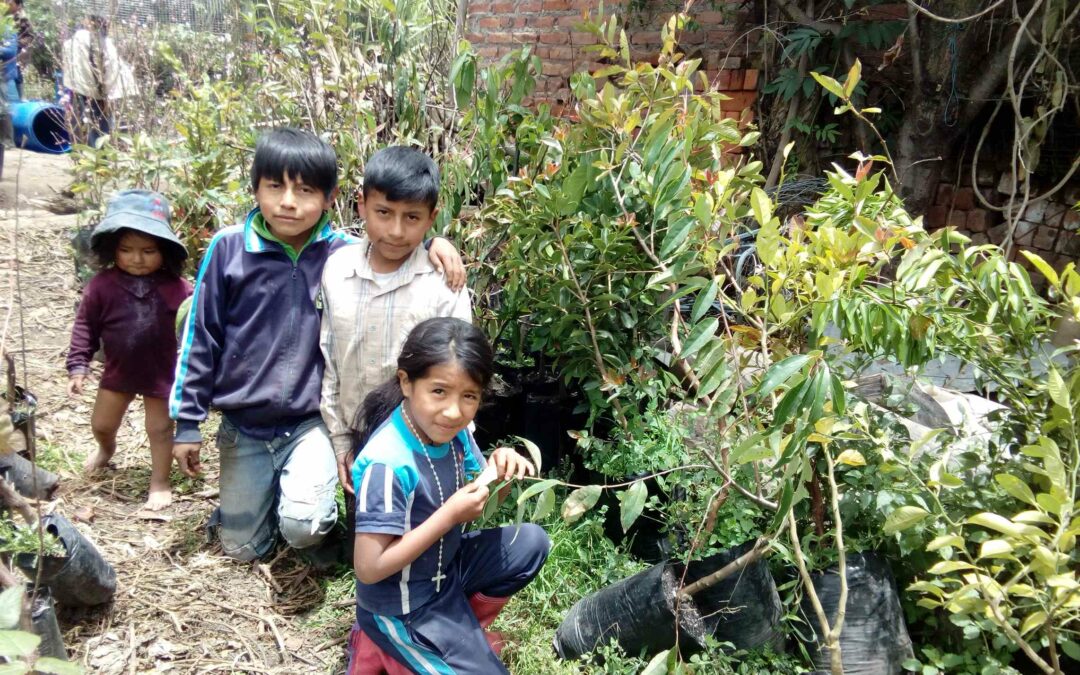 REGENERATIVE FARM AND FOOD FOREST, ECUADOR