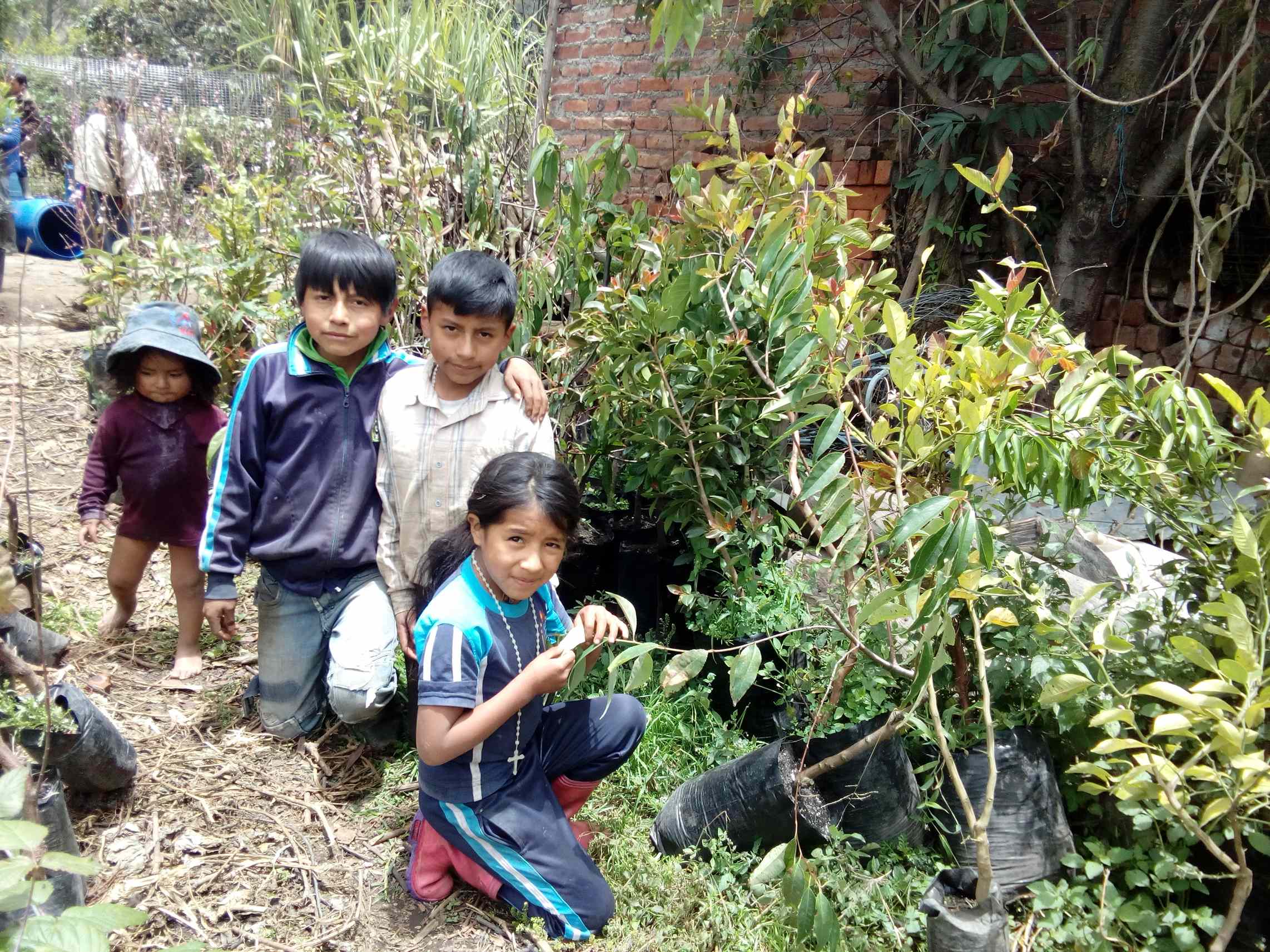 youngtrees and kids_small